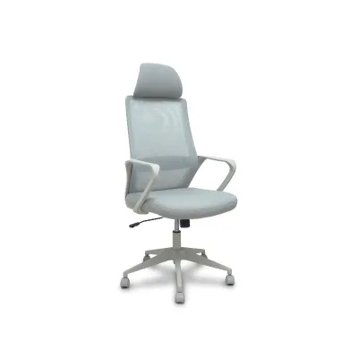 PIQUERAS Y CRESPO PRO534 RETE NE/TES NE/BR FIS/PT REG 534BGY00053PGRN
