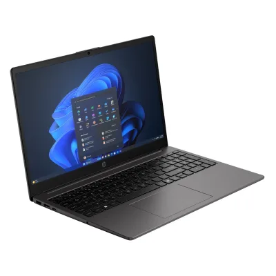 15.6" 250R G10 Windows 11 Home D1LA7AT