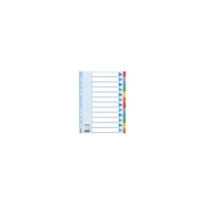 ESSELTE CF10 INTERCAL CARTON12 T.COLORS A4 100194