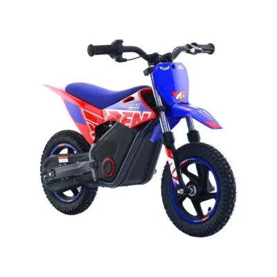 Mini Cross Elettrica Bambino RFN Warrior Kids SX-E250