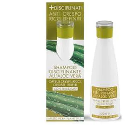 ALOE SHAMPOO DISCIPLIN PLANTERS