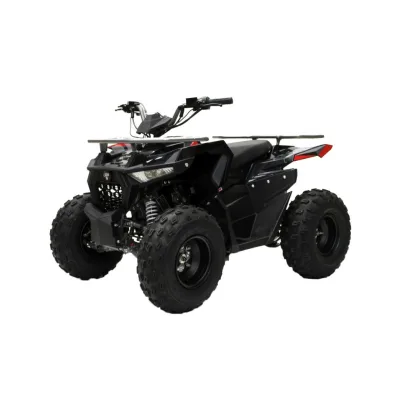 Quad LEM Hummer 125cc Ruote 8"