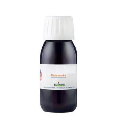 ARNICA MONTANA *BO*TM 60ML