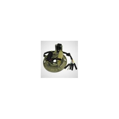 Statore 2 bobine per Pit Bike 125cc, 140cc