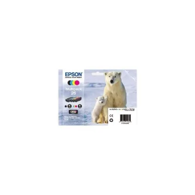 orso polare C13T26164020