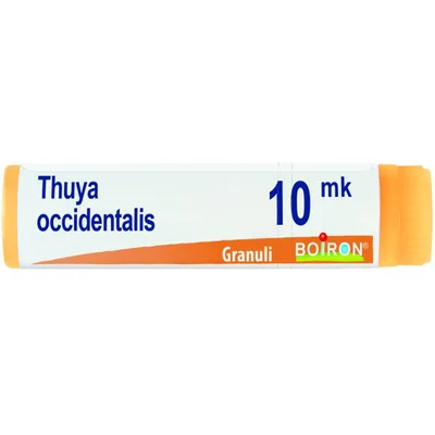BO.THUYA OCCIDENTALIS XMK