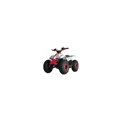 Mini Quad E-ATV LEM Grizzly Electric 750W