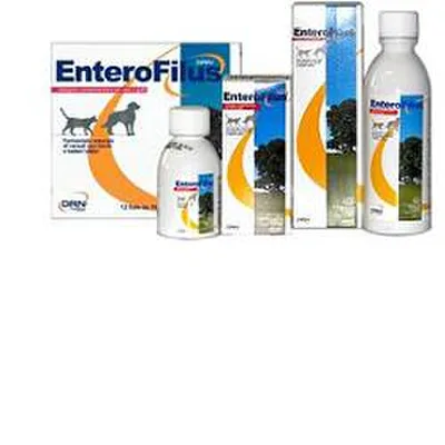 Drn Enterofilus Mangime Complementare Simbiotico Cani E Gatti 12 Fiale