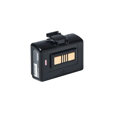 BATTERIA ORIGINALE BROTHER INTELLIGENTE PA-BT-006 PABT006 PER ARTICOLO RJ4230BZ1