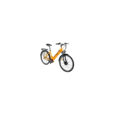 Bici Elettrica Ztech ZT-83 Vesuvio 250W