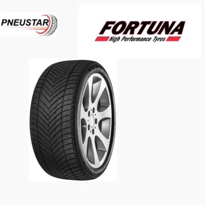 FORTUNA ECOPLUS2 4S 195 55 R16 87V (1955516)