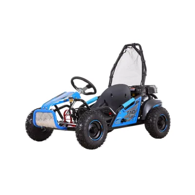 Buggy Ztech GK 100 125cc Ruota 6" Automatico