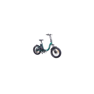 Bici Elettrica Pieghevole ZTech ZT-89C Fatbike Pieghevole 500W