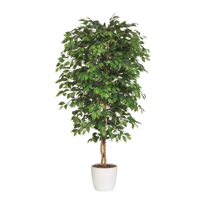 Adriani & Rossi Pianta artificiale Ficus Benjamina - Con vaso
