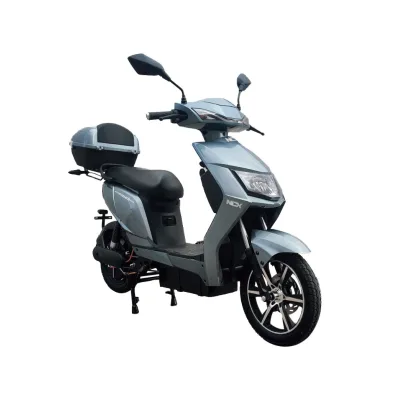 Scooter Elettrico NCX Rider EVO 800W Targabile