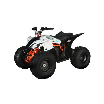 Mini Quad E-ATV Kayo EA110 2100W 48V Ruote 8"
