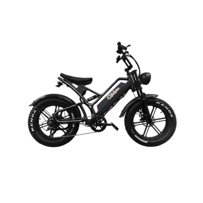 Fat Bike Elettrica OmBike 500W 48V 20h