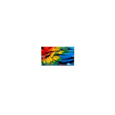 Philips Hotel tv 65 MEDIASUITE IPTV 4K CHROMECAST 65HFL6214U/12