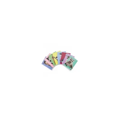PIGNA CF10 MAXI D.CUCCIOLI 42FF 5M F.TOA4 02330175M