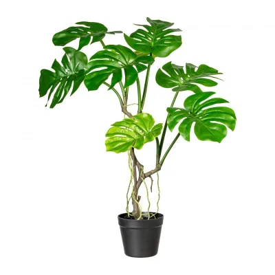 Adriani & Rossi Pianta artificiale Splitphilodendron Small