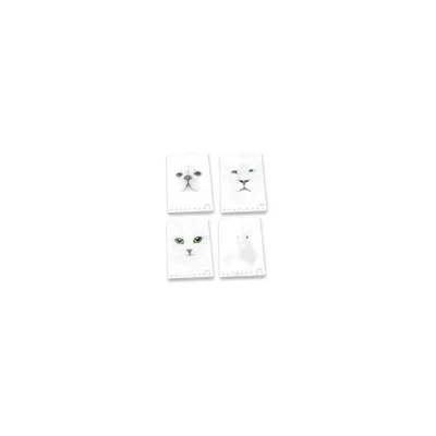 PIGNA CF10 MAXIMONOCROMO WHITE 0C A4 100G 02307910C
