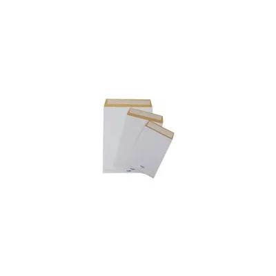 BLASETTI CF100 SACCHETTI SECURSAC 25X35X4 0966