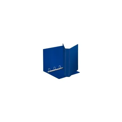 ESSELTE RACCOGLITORE DISPLAY PERS. 30MM BL 394756500