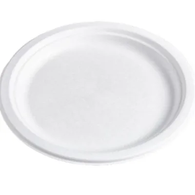 PIATTI OVALI CM 22 COMPOSTABILE POLPA BIO 50 PZ