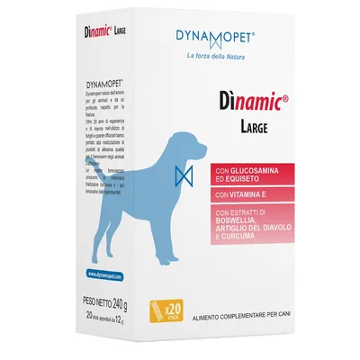 Dinamic large 20 stick da 12 g