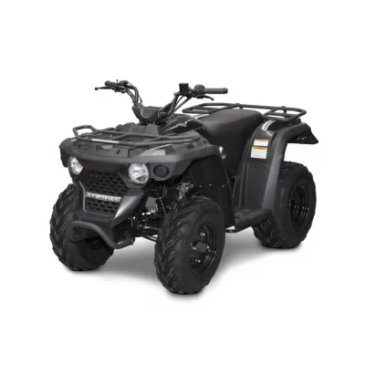 Quad Utility Linhai M150
