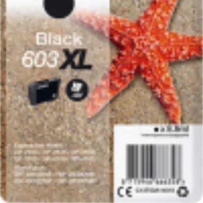STELLA MARINA XL C13T03A14020