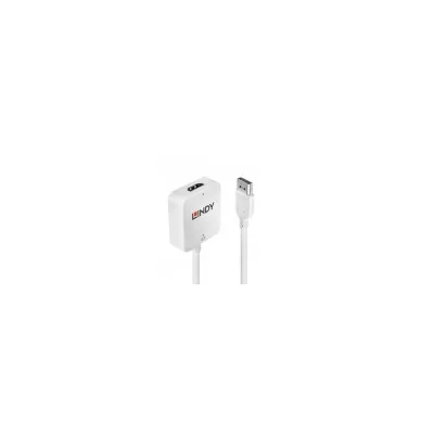 Lindy CONVERTER HDMI A DISPLAYPORT 4K 38146