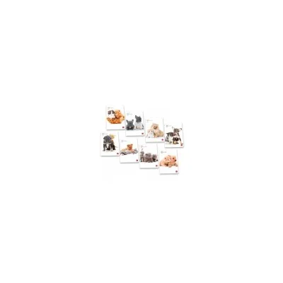PIGNA CF10 QUA 20FG DOLCI CUCC A4 80G ASS 02320470B