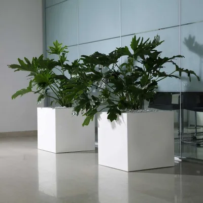 Arkema Vaso Iris Vase in polietilene in diverse finiture