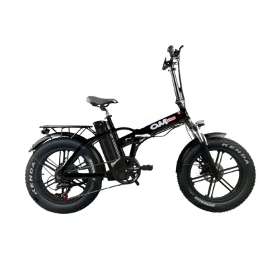 Bici Elettrica Pieghevole OmBike 750W 48V 16Ah