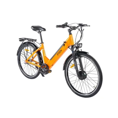 Bici Elettrica Ztech ZT-83 Vesuvio 250W