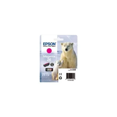 ORSO POLARE C13T26134012