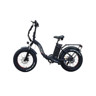 Bici Elettrica Pieghevole LEM Florida Comfort 250W 48V
