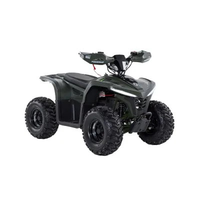 Mini Quad E-ATV Ztech Powerkid 750W/1600W Ruote 7"