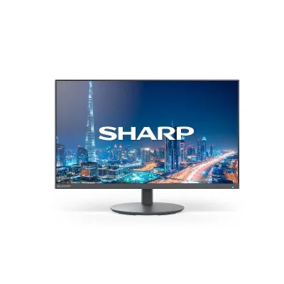 SHARP/NEC MULTISYNC DD-E224F DDE224F