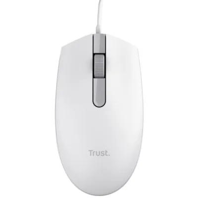 25320