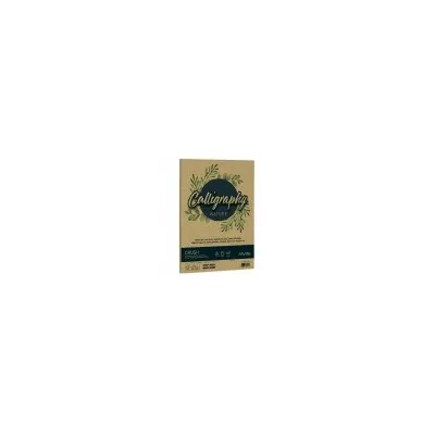 CARTOTECNICA FAVINI CF50 FG NATURE 120GR A4 OLIVA A69N534