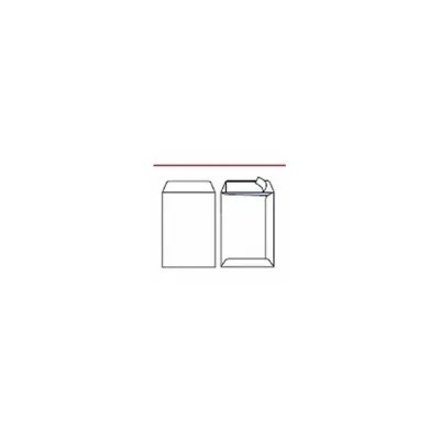 PIGNA CF100 BUSTE SACCO C/STRIP 19X26CM 065452826