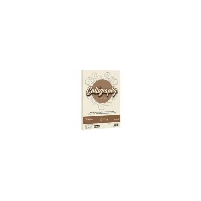 CARTOTECNICA FAVINI CF50 FG CANVAS 100GR A4 AVORIO A69Q214