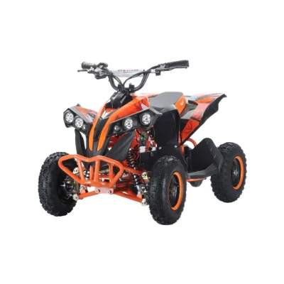 Mini Quad CVM Mini Lion Elettrico 1200W R6