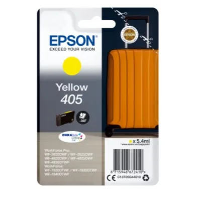 VALIGIA 405 C13T05G44010