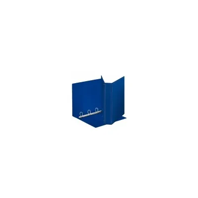 ESSELTE RACCOGLITORE DISPLAY PERS. 40MM BL 394753500