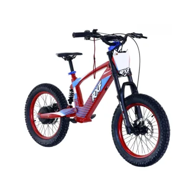 Bici Elettrica Apollo Junior RXF EVO 500W 18"