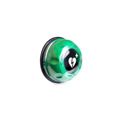 Teca da Esterno Allarmata ROTAID SOLID PLUS Verde