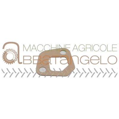 GUARNIZIONE 0.034.1659.0